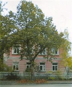 Sepp Mahler Haus